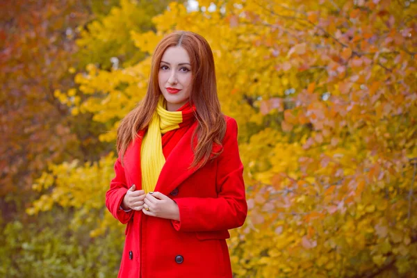 Fashionabla Trevlig Kvinna Bära Casual Stil Vacker Ansikte Rött Naturligt — Stockfoto