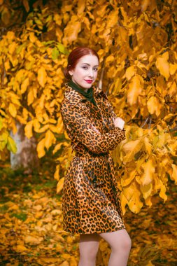 Kameraya poz veren, hayvan desenli ceketli güzel moda kadını. Leopar desenli ceket ve eşarp giyen hoş, modaya uygun bir bayan. Günlük yaşamda klasik tarz, sonbahar bahçesi.