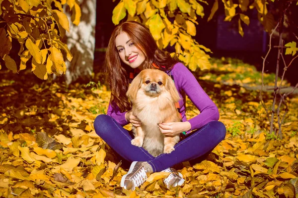 Berjalan Seorang Wanita Muda Dengan Anjing Saat Matahari Terbenam Anjing — Stok Foto