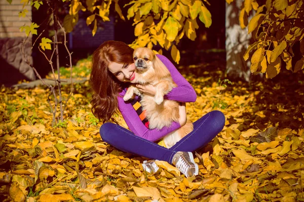 Paseo Una Joven Con Perro Atardecer Pequeño Perro Sentarse Con —  Fotos de Stock