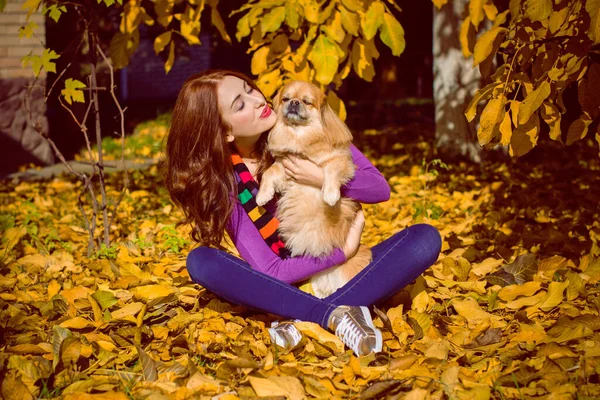 Berjalan Seorang Wanita Muda Dengan Anjing Saat Matahari Terbenam Anjing — Stok Foto