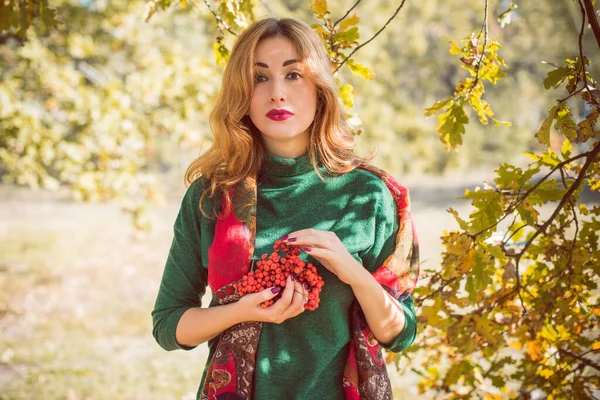 Осень Золотое Время Портрет Модной Женщины Носить Теплую Одежду Сцена — стоковое фото