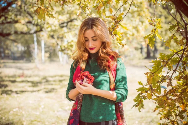 Goldene Herbstzeit Porträt Einer Modischen Frau Warmer Kleidung Szene Park — Stockfoto