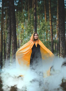 Cadılar Bayramı Cadısı Kadın Gizemli atmosferde, büyücülük konsepti, Parti için fikirler 