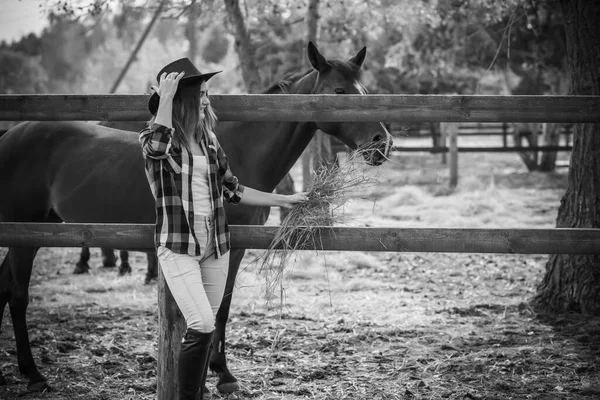 Amerikaanse Vrouw Een Paardenboerderij Portret Van Meisje Met Cowboyhoed Paarden — Stockfoto