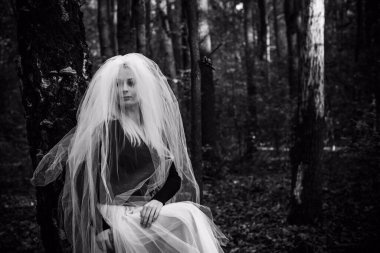 Ormanda mistik bir sahne, gelinlik giymiş bir kız, duvak, Cadılar Bayramı fikirleri. 