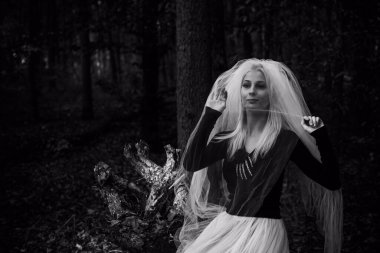 Ormanda mistik bir sahne, gelinlik giymiş bir kız, duvak, Cadılar Bayramı fikirleri. 