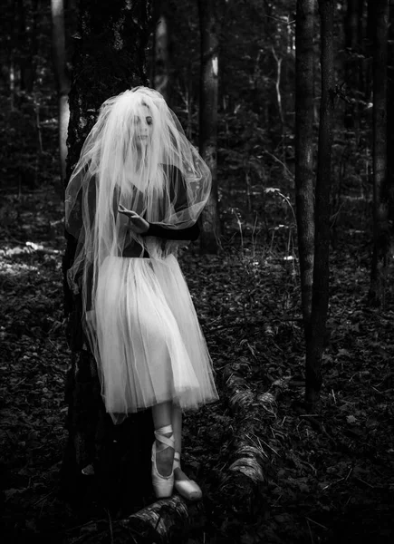 Cena Mística Floresta Menina Traje Noiva Com Véu Ideias Halloween — Fotografia de Stock