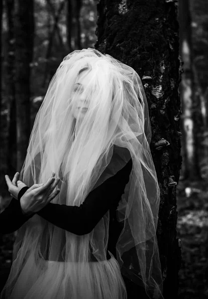 Mystieke Scène Het Bos Meisje Bruidskostuum Met Een Sluier Halloween — Stockfoto