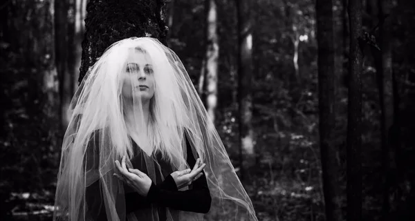Ormanda Mistik Bir Sahne Gelinlik Giymiş Bir Kız Duvak Cadılar — Stok fotoğraf