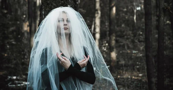 Cena Mística Floresta Menina Traje Noiva Com Véu Ideias Halloween — Fotografia de Stock