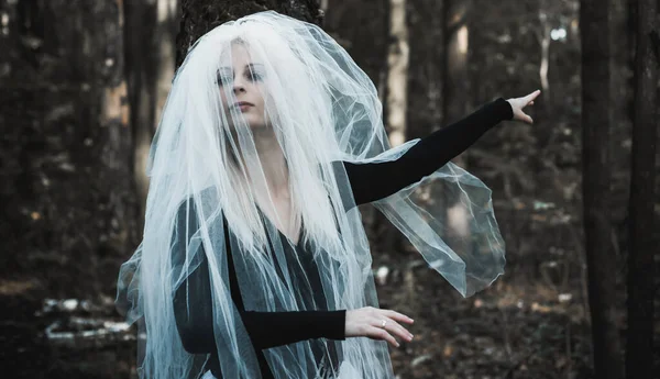 Cena Mística Floresta Menina Traje Noiva Com Véu Ideias Halloween — Fotografia de Stock