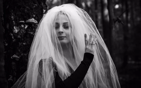 Scena Mistica Nella Foresta Ragazza Costume Sposa Con Velo Idee — Foto Stock