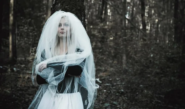 森林里的神秘场景 穿着新娘服装的女孩 戴着面纱 有万圣节的念头 — 图库照片