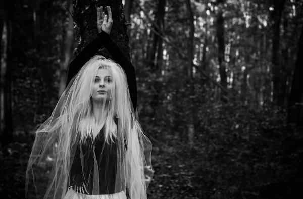 森の中の神秘的なシーン 花嫁の衣装の女の子 ベールと ハロウィンのアイデア — ストック写真
