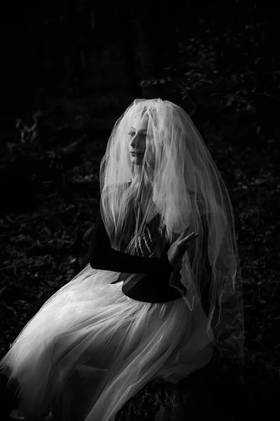森の中の神秘的なシーン 花嫁の衣装の女の子 ベールと ハロウィンのアイデア — ストック写真