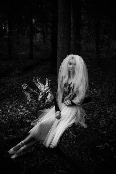 Mystická Scéna Lese Dívka Kostýmu Nevěsty Závojem Halloweenské Nápady — Stock fotografie