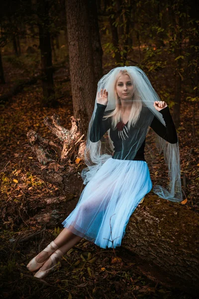 Cena Mística Floresta Menina Traje Noiva Com Véu Ideias Halloween — Fotografia de Stock