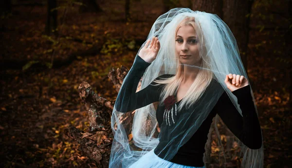Scène Mystique Forêt Fille Costume Mariée Avec Voile Idées Halloween — Photo