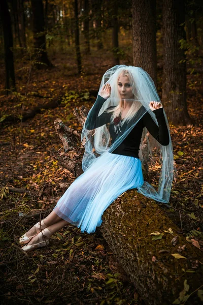 Mystische Szene Wald Mädchen Brautkostüm Mit Schleier Halloween Ideen — Stockfoto
