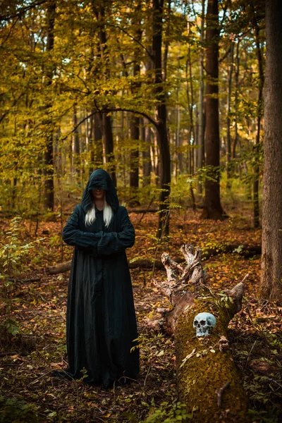 Mystical Scene Forest Gothic Woman Magical Look Halloween Ideas Costume — Stock Photo, Image