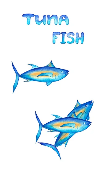 Tuna fish group and hand lettering on a white background set. Watercolor illustration. Suitable for labeling