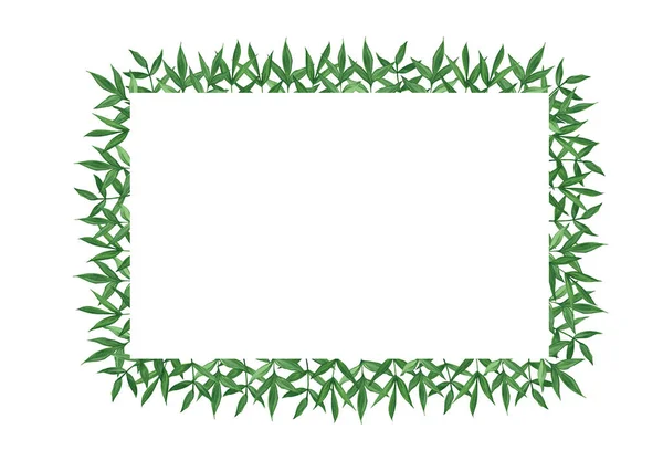Moldura Com Folhas Verdes Sobre Fundo Branco Base Para Cartões — Fotografia de Stock