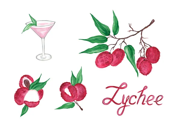 ライチは白地に孤立した 手紙を 半分と部分のある枝に新鮮なライチの果実 ピンクのドリンクとガラス 水彩画 — ストック写真