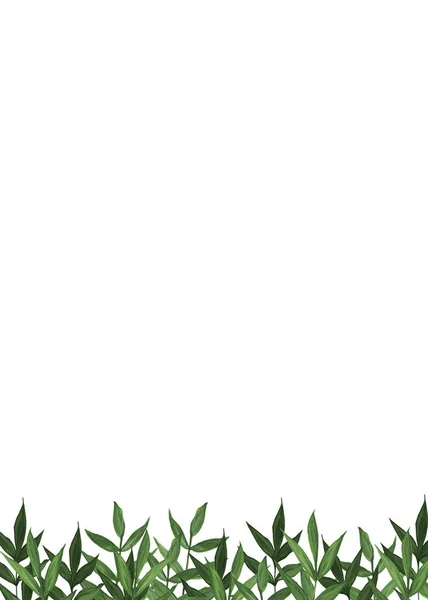 Βοτανικός Σχεδιασμός Πανό Ακουαρέλα Λεπτά Πράσινα Φύλλα Κενό Για Καρτ — Φωτογραφία Αρχείου