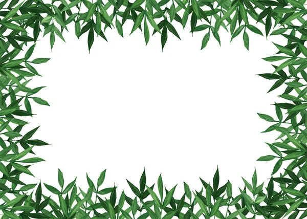 Zomer botanische aquarel banner ontwerp. Delicate groene bladeren. Natuurlijke kaart of frame. Floristische grenzen. Plaats voor je tekst. — Stockfoto