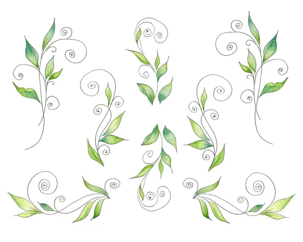 Färska Gröna Blad Uppsättning Designelement Blommor Dekorationer Isolerade Vit Bakgrund — Stockfoto