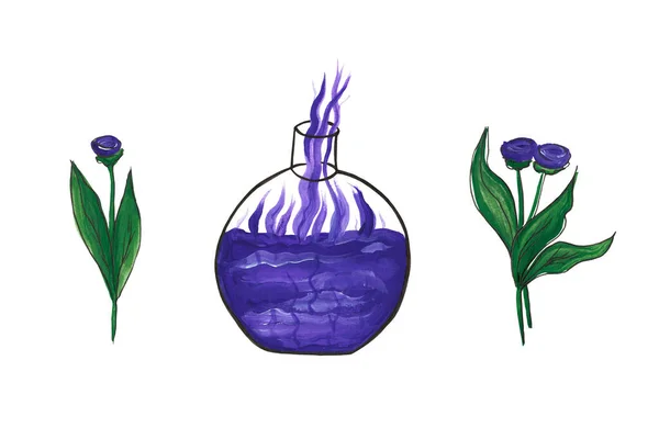 色のフラスコ 薬や毒 紫色の液体で 緑色の葉に紫色の花を咲かせます ハロウィンセット 化学だ 実験だ 水彩画 — ストック写真