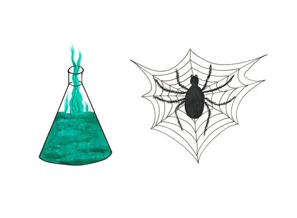 Halloween set. A flask with a green potion and a web with a black spider. Icons. Halloween symbols. Doodle style. Watercolor illustration