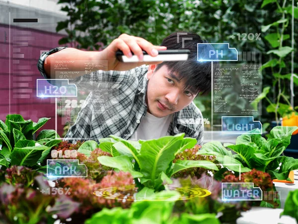 young smart Asia Farmer using Ar,Vr,3d projection glass Technology at his smart farm.