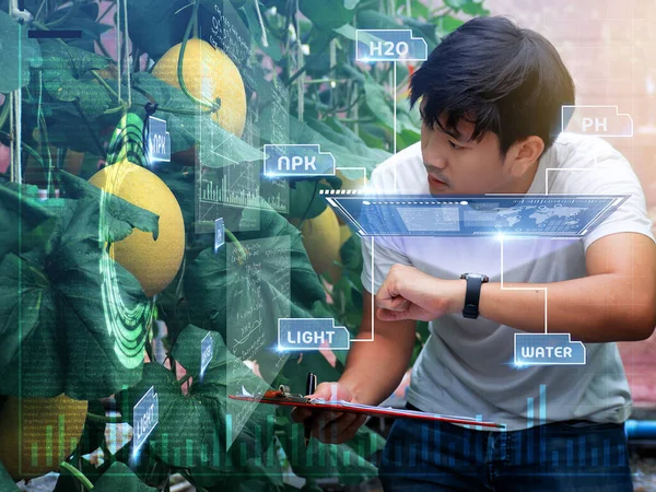 Genç akıllı Asyalı çiftçi akıllı çiftliğinde Ar, Vr, 3D projeksiyon cam teknolojisi kullanıyor..