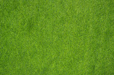 Yeşil çimen dokusunun üst görünümü.