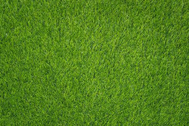 Yeşil çimen dokusunun üst görünümü.