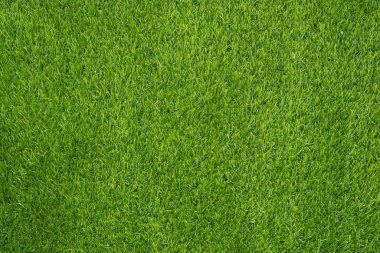 Yeşil çimen dokusunun üst görünümü.