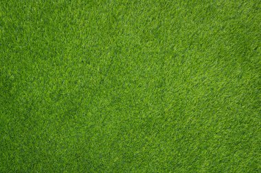 Yeşil çimen dokusunun üst görünümü.