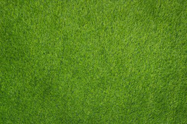 Yeşil çimen dokusunun üst görünümü.