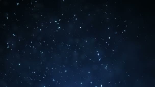 Falling Realistic Natural Snowflakes Computer Animation Based Real Form Snowflakes — Stock Video