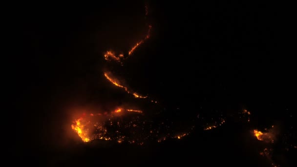 Vista do ar para uma floresta ardente à noite — Vídeo de Stock