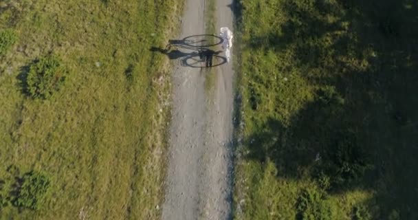 시골 도로에서 가벼운 드레스를 입고 모자를 쓰고 자전거를 타고 다니는 젊은 여자를 찍은 사진 — 비디오