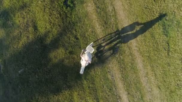 Kırsal yolda bisiklet süren, açık renk elbiseli ve şapkalı genç bir kadının fotoğrafı. — Stok video