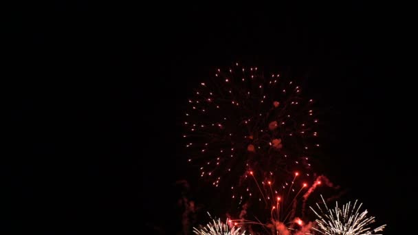 Explosiones fuegos artificiales en el cielo nocturno — Vídeos de Stock