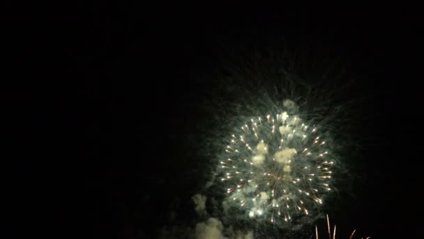 Exploze ohňostrojů na noční obloze — Stock video