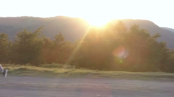 Mujer corriendo en una carretera de campo al atardecer . — Vídeo de stock