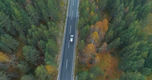 Vista aerea di una macchina di lusso che guida su strada attraverso la foresta — Video Stock