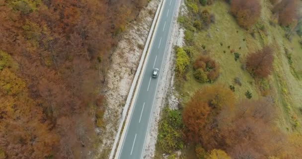 Luchtfoto van een luxeauto rijden op landweg — Stockvideo