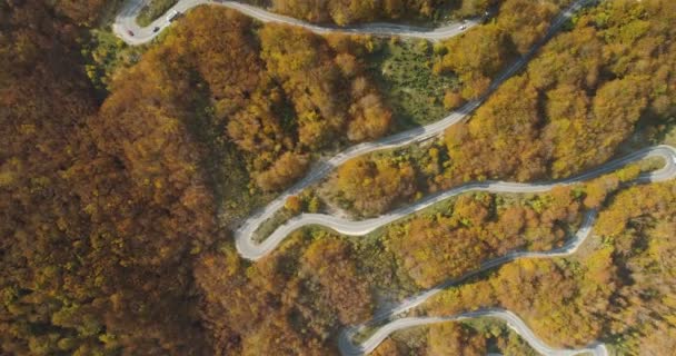 Outono montanha estrada vista de cima — Vídeo de Stock